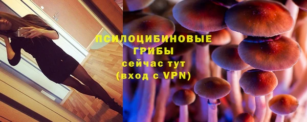 мет Дмитриев