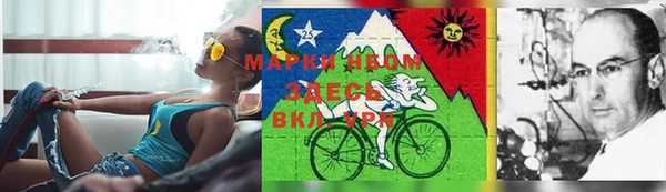 мет Дмитриев