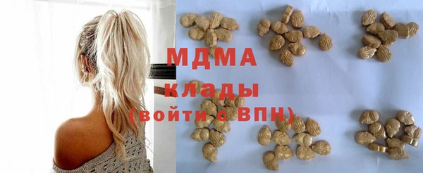 гидра Ельня